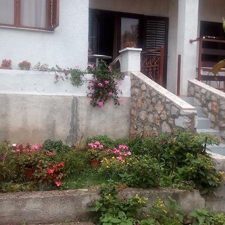Guesthouse Filepi Сень Экстерьер фото